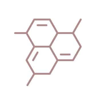 Stimola la produzione di nuovo collagene